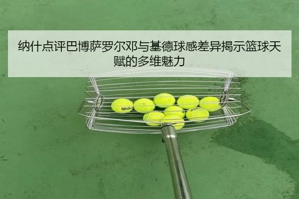 纳什点评巴博萨罗尔邓与基德球感差异揭示篮球天赋的多维魅力